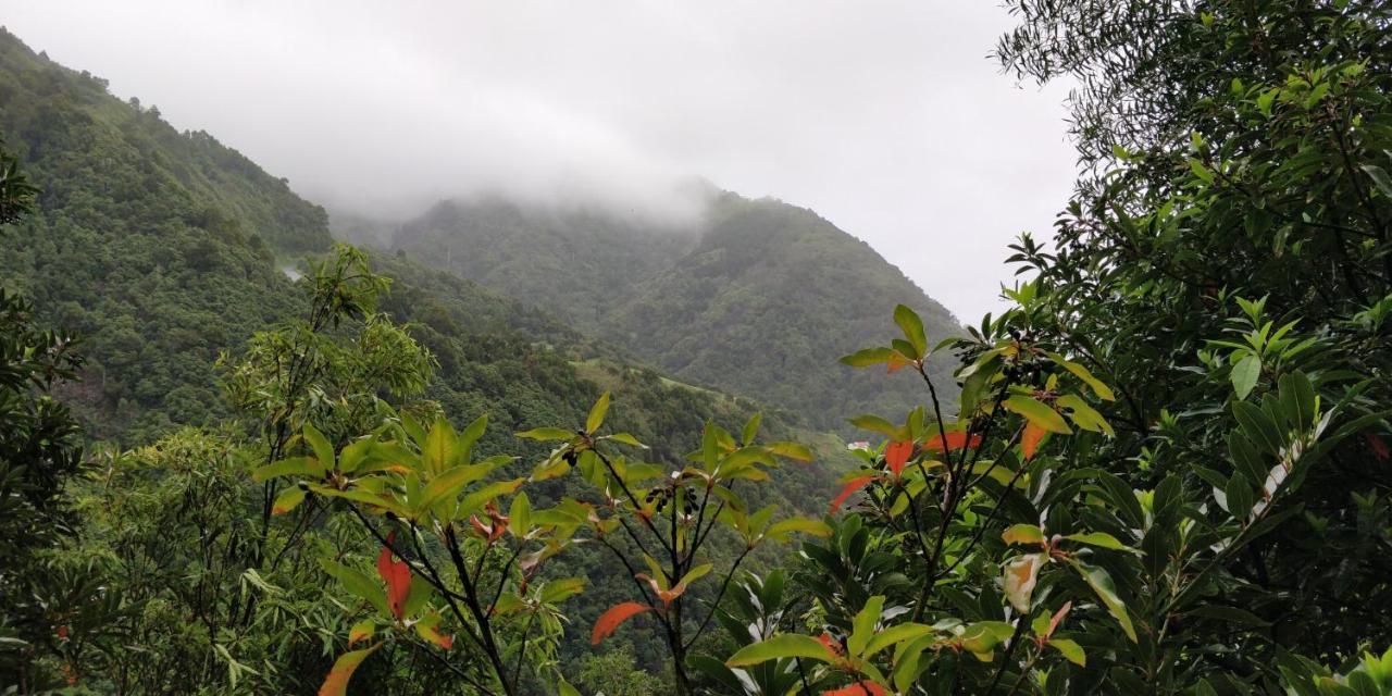 ホテルAldeia Do Sanguinho Faial da Terra エクステリア 写真